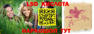 ПСИЛОЦИБИНОВЫЕ ГРИБЫ Гусев