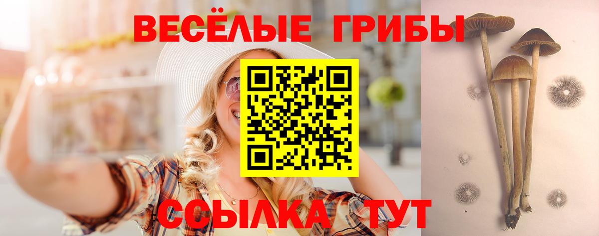Галлюциногенные грибы прущие грибы Елабуга